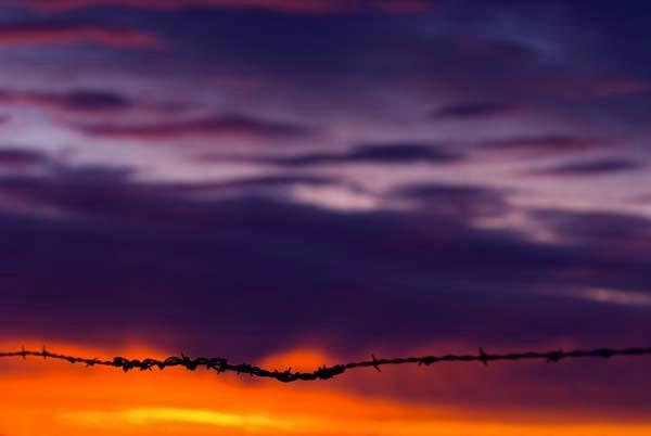 Barbed_Wire_Sunrise2.jpg