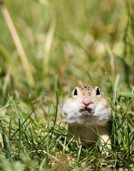Chock-Full-o-Nuts.jpg