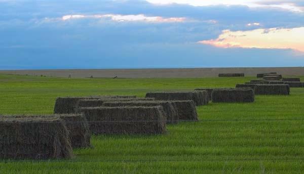 Haybales-on-the-Prairie.jpg
