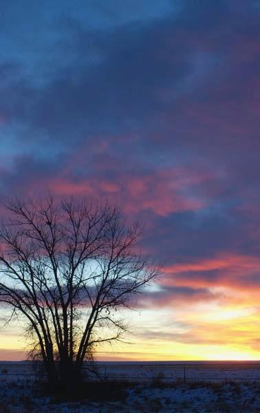 New-Years-Sunrise.jpg