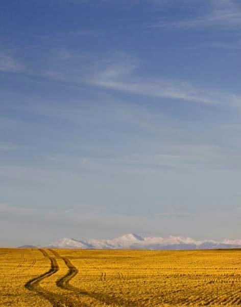 Wagon-Tracks-Edit.jpg