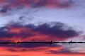 Barbed-Wire-Sunrise