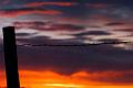 Barbed-Wire-and-Post-Sunrise