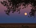Full-Moon-in-Strasburg