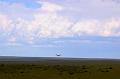 Hawk-Flying-over-the-Plains