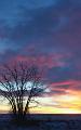 New-Years-Sunrise