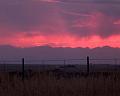 Purple-Mountians-Magesty