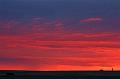 Sunrise-on-the-Farm1