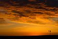 Windmill-Sunrise