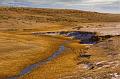 Winter-Streambed