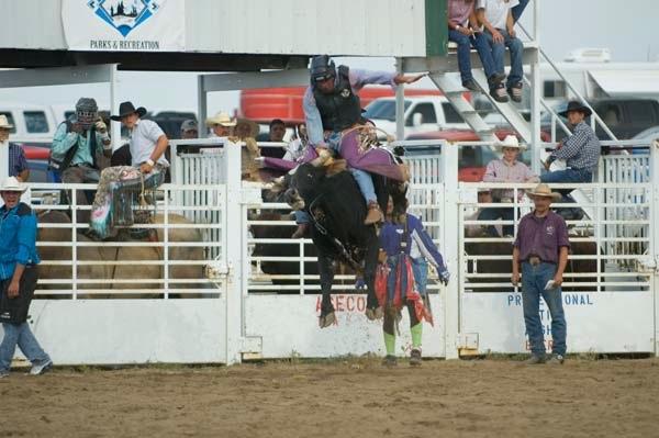 Bull_Ballet.jpg