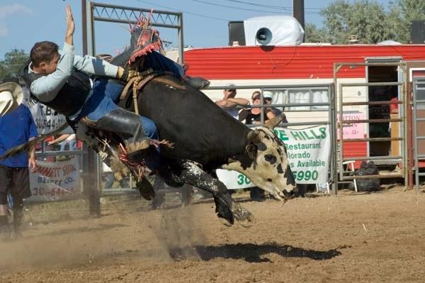 Bull_Riding_Hometown_Hero.jpg