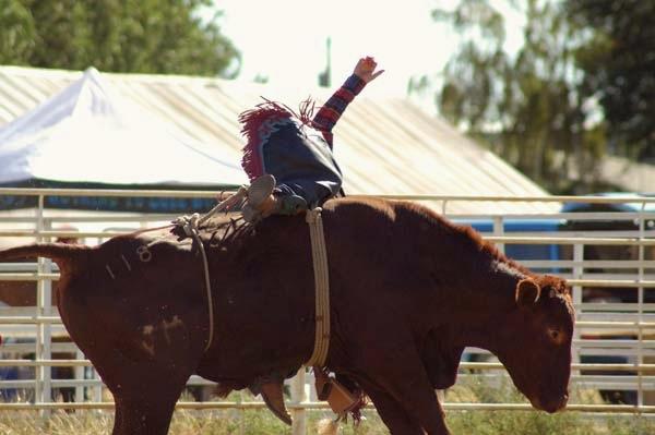 Bull_Riding_at_Deer_Trail_1.jpg