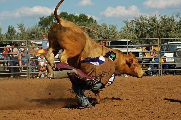 Bull_Riding_at_Hometown_Days_1.jpg