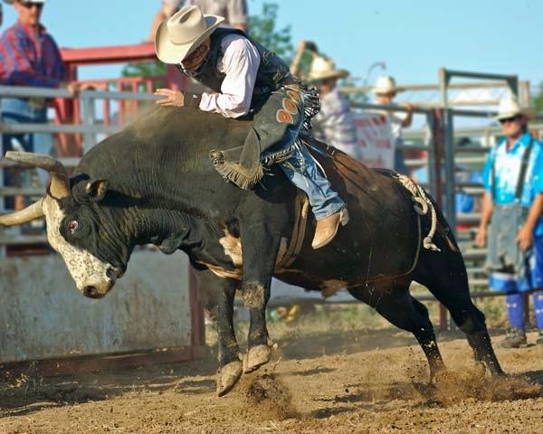 Bull_Riding_at_Hometown_Days_2.jpg