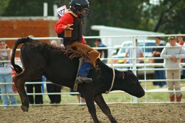 Calf_Riding_at_Deer_Trail_1.jpg
