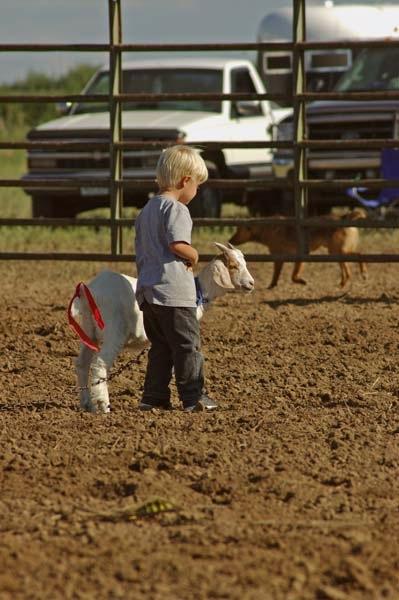 Goat_Tying_Hometown_Days_1.jpg