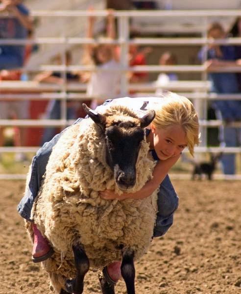 Head_on_into_Mutton_Busting.jpg