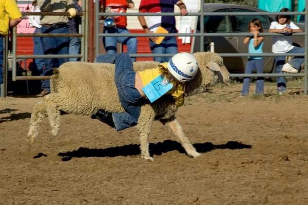 Mutton_Busting_Yellow_Shirt.jpg