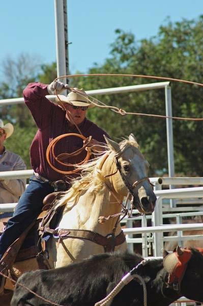 Steer_Roping_at_Deer_Trail_1.jpg