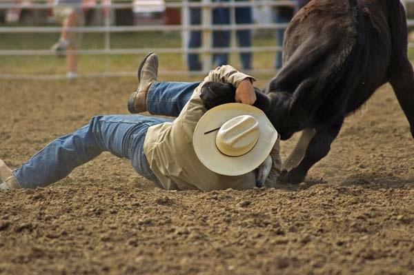 Steer_Wrestling_at_Deer_Trail.jpg