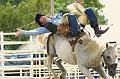 Bronc_Busting_at_Deer_Trail_2