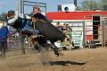 Bull_Riding_Hometown_Hero