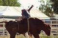 Bull_Riding_at_Deer_Trail_1