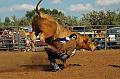 Bull_Riding_at_Hometown_Days_1