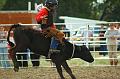 Calf_Riding_at_Deer_Trail_1