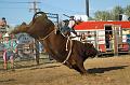 Junior_Bull_Riding_at_Hometown_Days_1