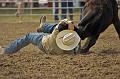 Steer_Wrestling_at_Deer_Trail