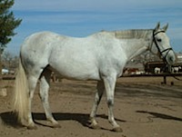Lou_posed_well03