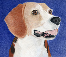 Bambi's finished CP portrait