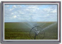 Irrigation Wheel in frame2