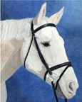 Lou's colored pencil portrait for web02