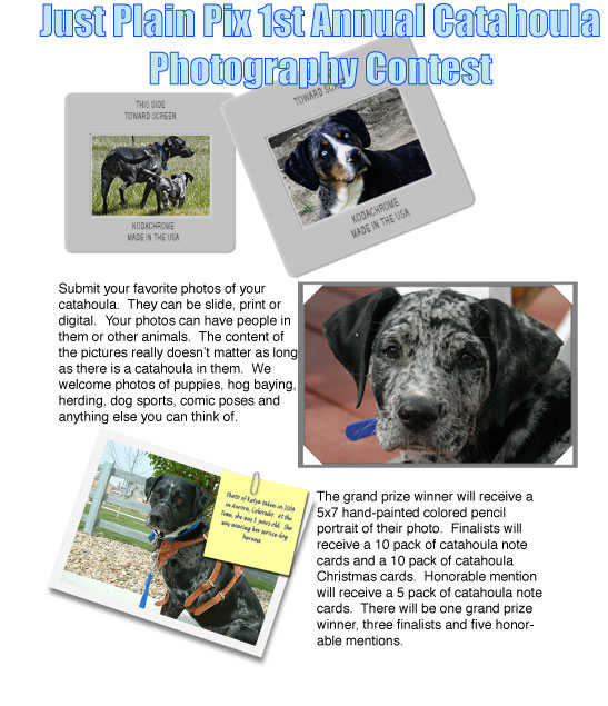 Photo-Contest-Web-Page03