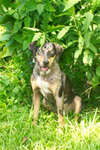 Ruby Sherry Huggins low res