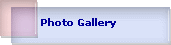 Photo Gallery
