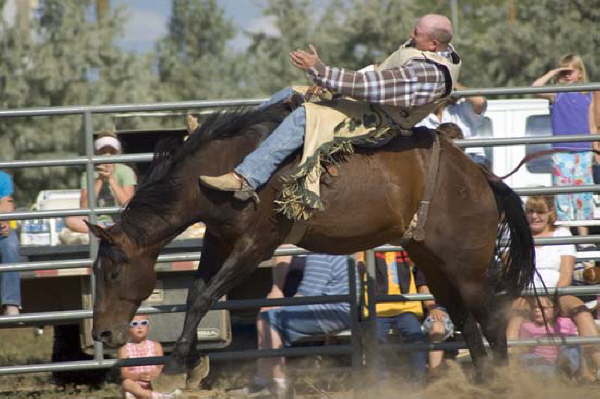 Bronc Busting Strasburg Hometown Days 2004
