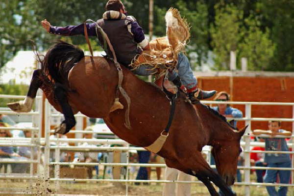 Bronc Busting at Deer Trail 9-5-04 
