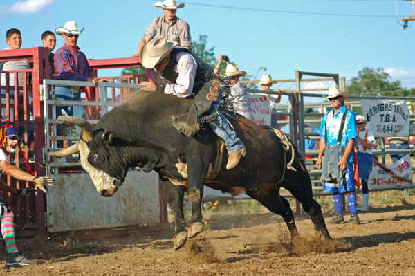 Bull Riding at Hometown Days 8-8-04