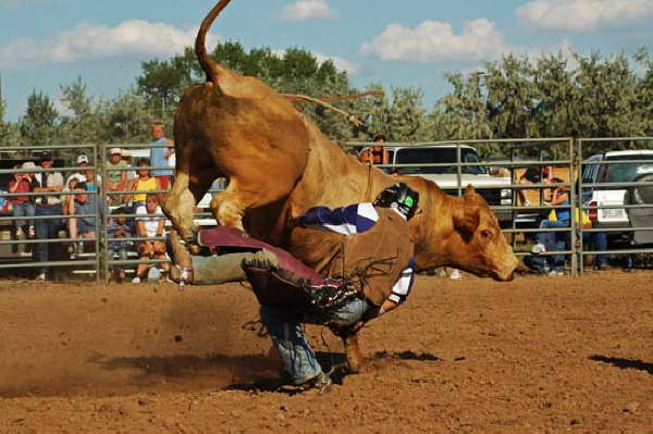 Bull Riding at Hometown Days 8-8-04 2