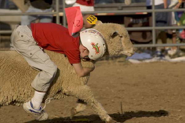 Mutton Busting Hometown Days 8-8-04