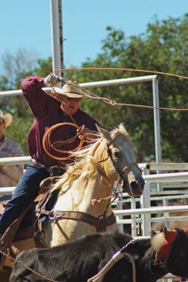 Steer Roping Deer Trail 9-5-04