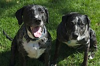 Katya-and-Lex-9-20-08